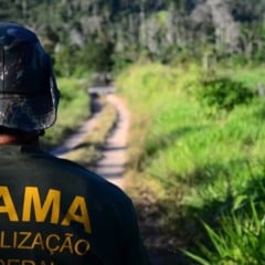 Para concorrer &agrave;s vagas, &eacute; necess&aacute;rio ter idade m&iacute;nima de 16 anos na data de in&iacute;cio do est&aacute;gio. (Foto: Divulga&ccedil;&atilde;o)