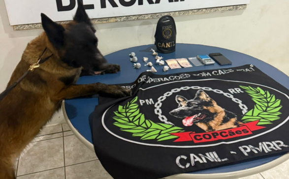 Cadela encontrou os entorpecentes dentro de aparalho de som - Foto: Divulgação