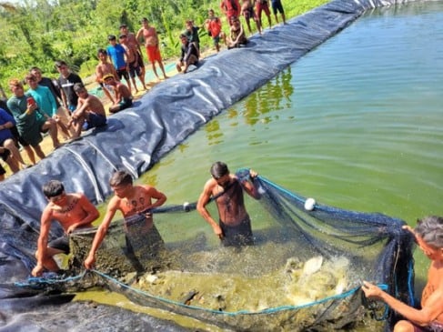 Nos 10 tanques instalados, já estavam distribuídos 8 mil alevinos, além da soltura simbólica de mais 300 peixes realizada durante a cerimônia. (Foto: Divulgação/ Ministério da Pesca e Aquicultura)