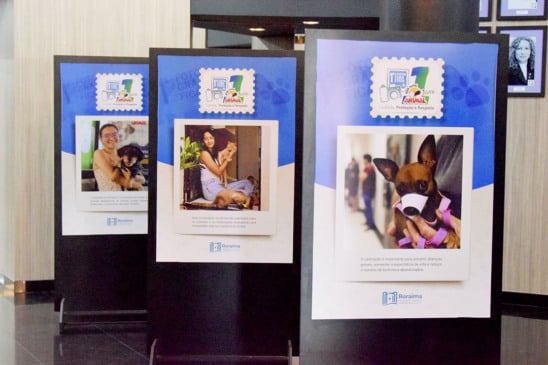 Exposição fotográfica marca um ano do programa Bem-Estar Animal