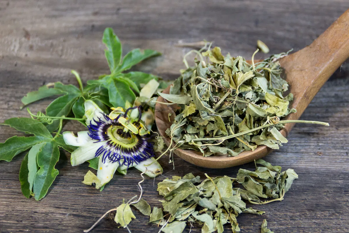 Conheça a passiflora: planta natural usada no combate à insônia e à ansiedade