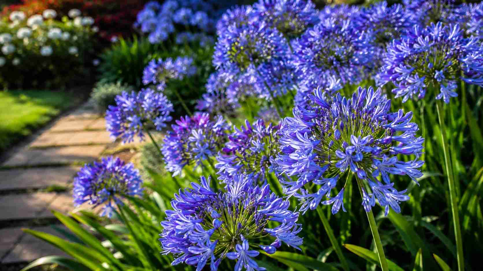 Flores Azul-Violeta: O Toque Raro Que Transforma Jardins