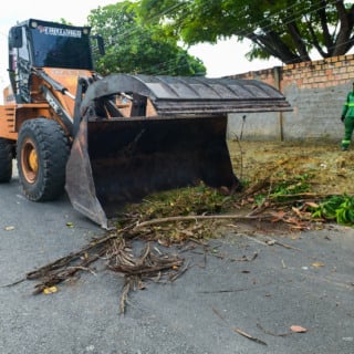 Chuva em Boa Vista derruba árvore e interdita rua
