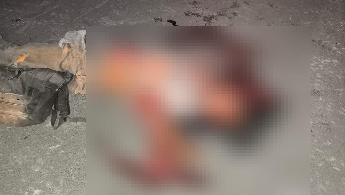 Motociclista morre em colisão com animal; outro se ferido em acidente