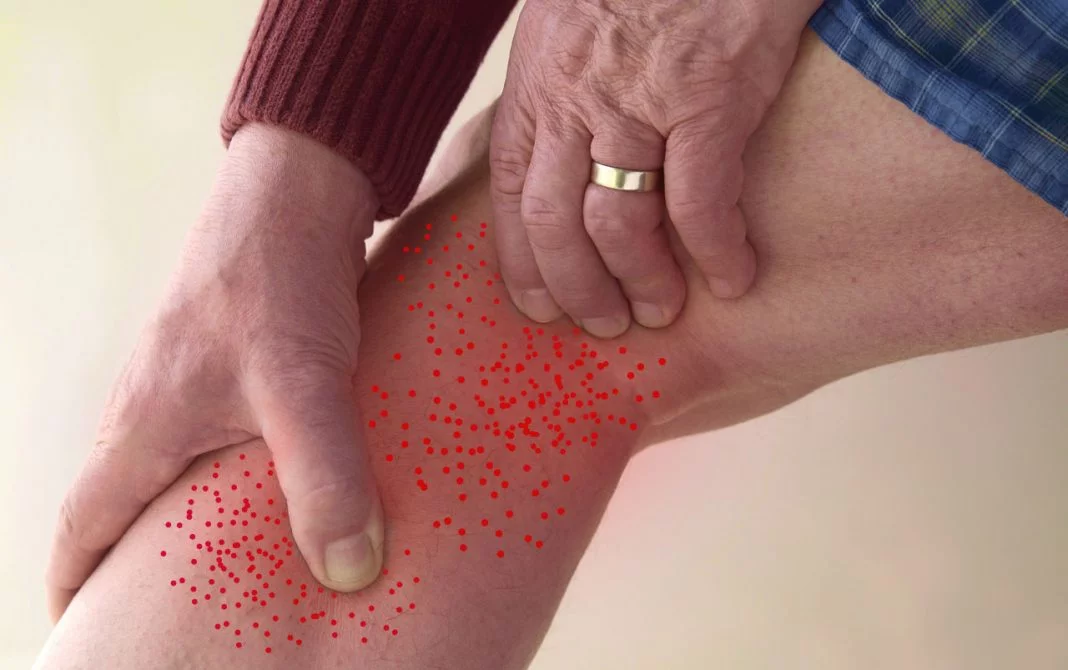 Vitamina B12 em Baixa: 7 Sinais de Alerta para Ficar Atento