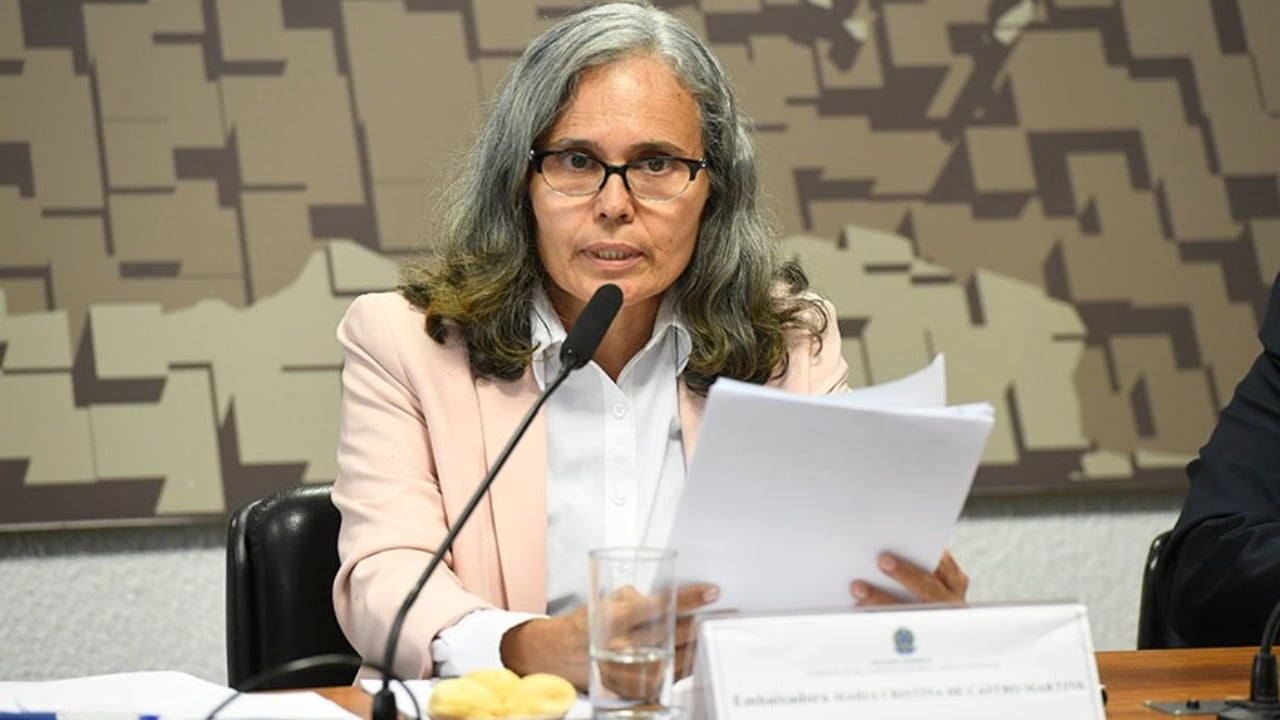 Embaixadora defende voos diretos entre Brasil e Guiana para ampliar negócios