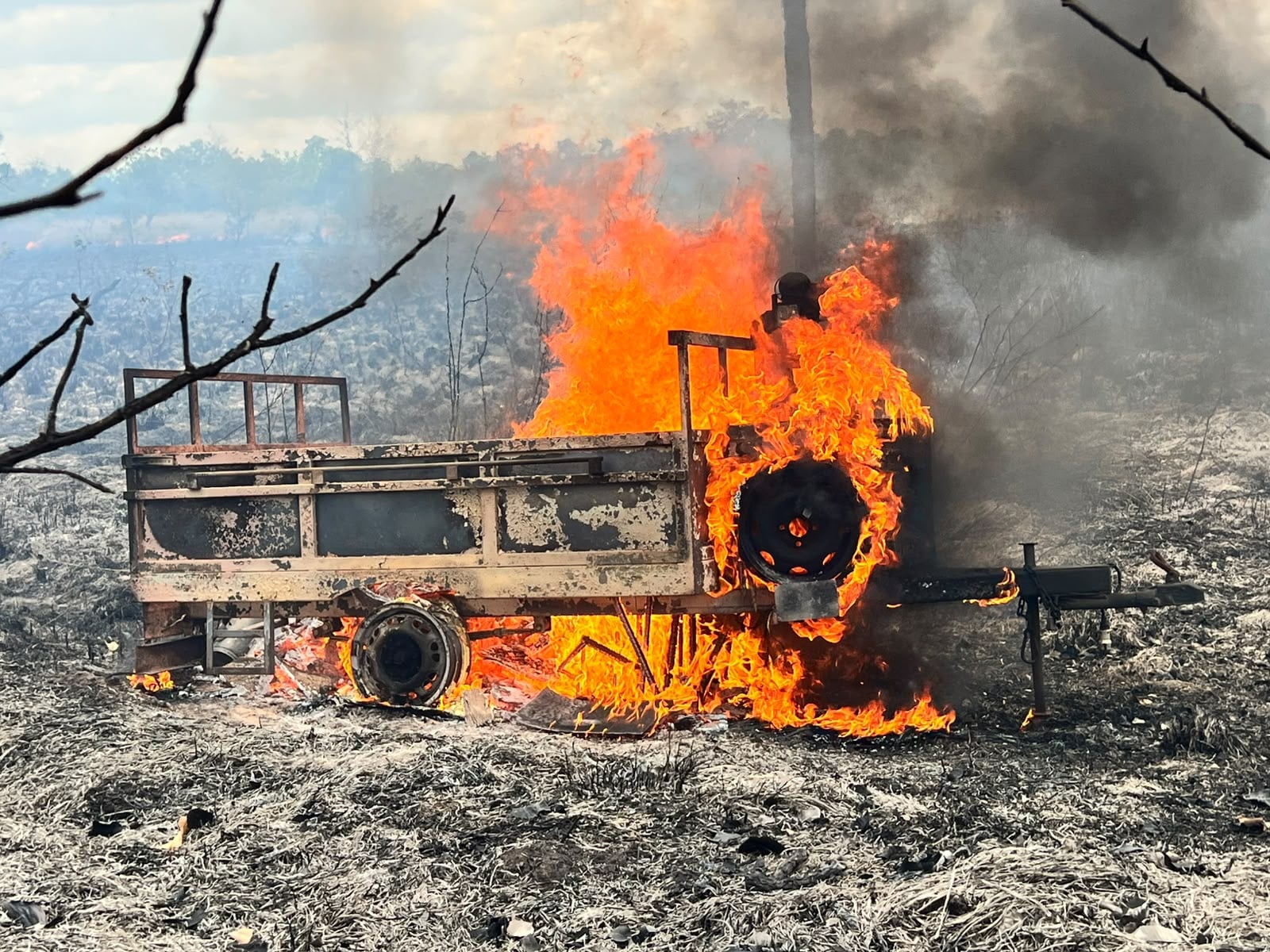 Apicultor tem prejuízo de R$ 670 mil após incêndio destruir carro e caixas de abelhas