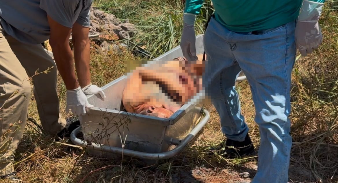Corpo com marcas de facadas é encontradoo no bairro Pricumã