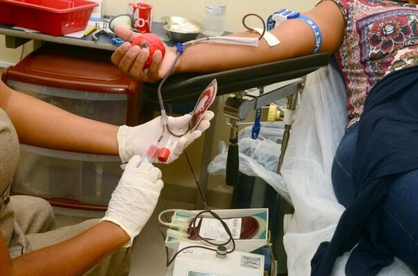 O Hemoraima tem traçado estratégias para evitar uma queda maior no número de doadores durante a pandemia de Covid-19 (Foto: Nilzete Franco/Folha BV)
