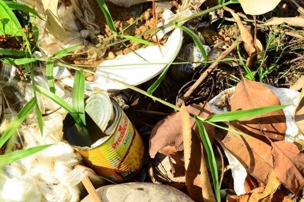 Até 20 de março, 344 ocorrências foram confirmadas a cada 100 mil habitantes (Foto: Divulgação)