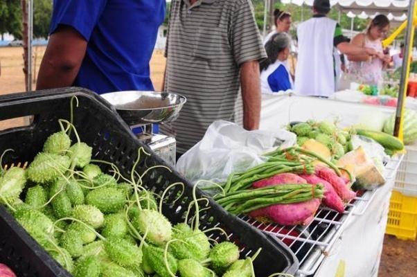 Os produtores poderão ofertar os produtos nas modalidades de atacado e varejo (Foto: Arquivo FolhaBV)