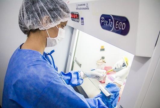 Ao todo, 993 amostras foram analisadas. Destas, 977 pela Fiocruz e 16 pelo Lacen - Foto: Divulgação/Fiocruz Rondônia