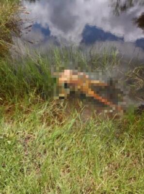 O corpo foi encontrado com 24 facadas em um lago na Vila Sumaúma - Foto: Divulgação