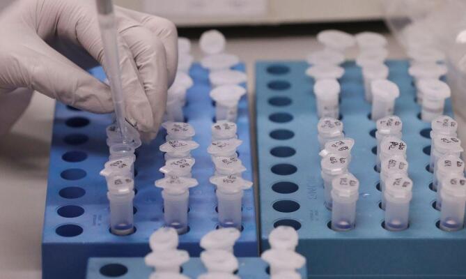 As unidades básicas de saúde fizeram 2.484 consultas médicas nas últimas 24h (Foto: Divulgação)