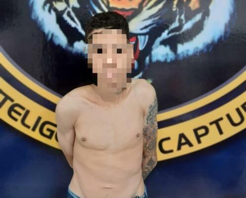 'Granfino' foi encaminhado a PAMC após a captura - Foto: Divulgação/DICAP
