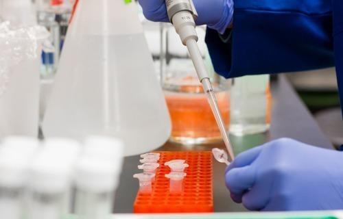 Um estudo conduzido pela Fiocruz indica que o novo coronavírus, responsável pela pandemia de 2020, é capaz de infectar células neurais (Foto: Divulgação)