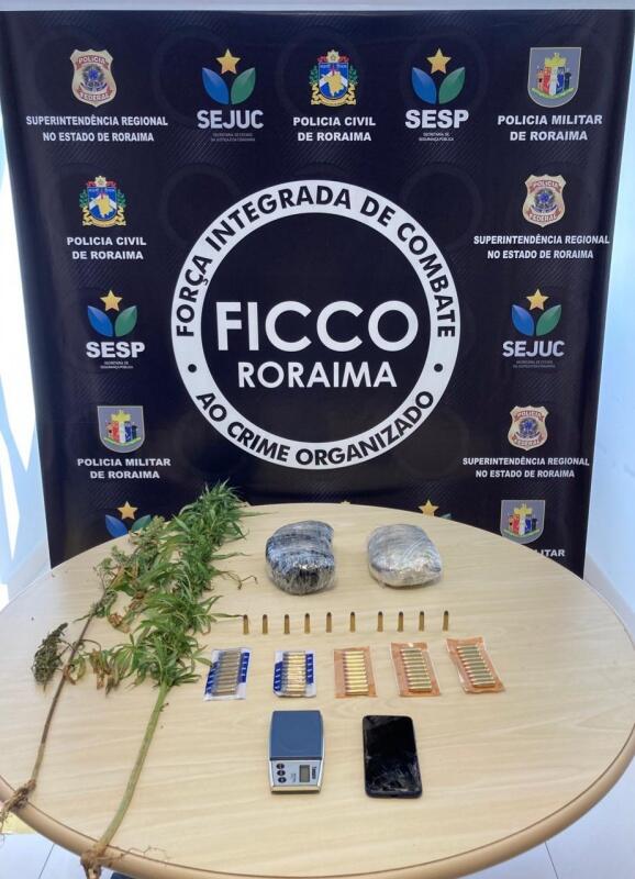Itens apreendidos foram levados para a delegacia (Foto: Divulgação PF-RR)
