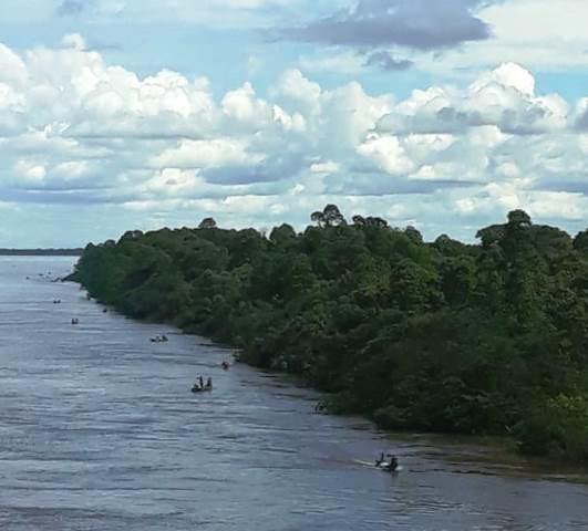 A expedição busca ampliar esse conhecimento realizando estudos sobre os peixes que ocorrem na região (Foto: Divulgação)