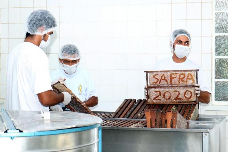 Cerca de 300 toneladas do mel já foram exportadas para Alemanha (Foto: Nilzete Franco/FolhaBV)