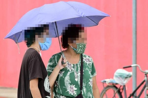 O estudo identificou que elas desenvolvem uma resposta mais eficiente das células T (Foto: Nilzete