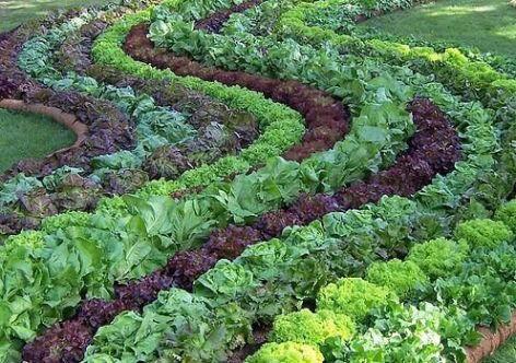 O Conexões Agroecológicas pretende partilhar os conhecimentos, transpondo o campo da teoria e vivenciando os conceitos (Foto: Divulgação) O Conexões Agroecológicas pretende partilhar os conhecimentos, transpondo o campo da teoria e vivenciando os conceitos (Foto: Divulgação)