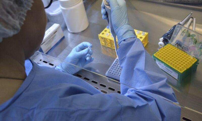A nova variante do vírus, segundo o laboratório Dasa, é a mesma detectada recentemente na Inglaterra e nos Estados Unidos (Foto: Divulgação)