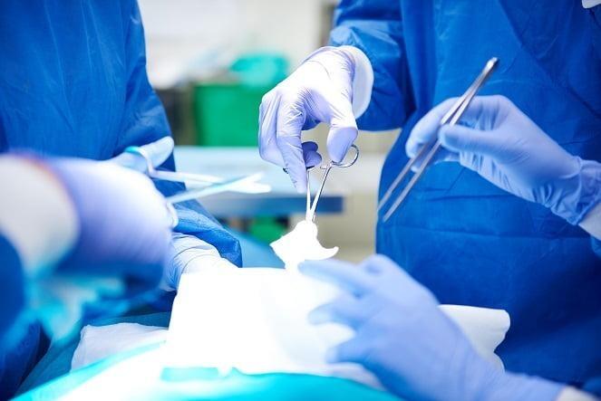 Os interessados podem ajudar por meio de conta corrente ou pix (Foto: DIvulgação)
