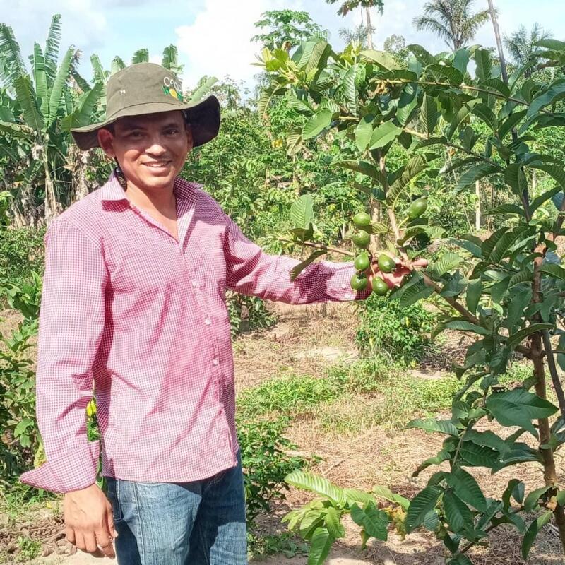 Segundo o Censo Agropecuário de 2017, 77% dos estabelecimentos agrícolas do país foram classificados como de agricultura familiar (Foto: Divulgação)