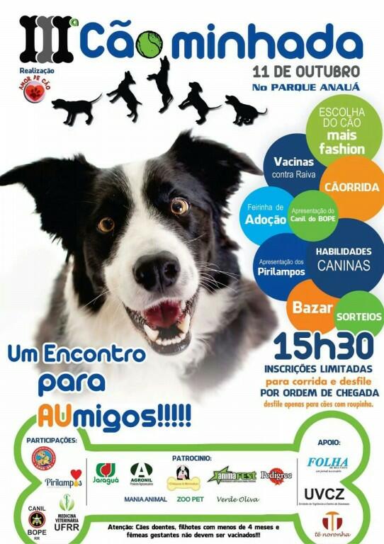 conteudo de folhabv.com.br