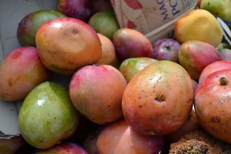 Fruta está na lista de produtos que não podem entrar no Amazonas.