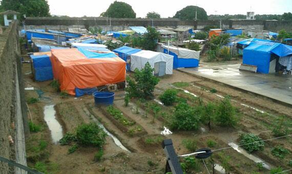 Estupradores ficam nestes casebres na área externa da Penitenciária Agrícola de Monte Cristo (Foto: Divulgação)