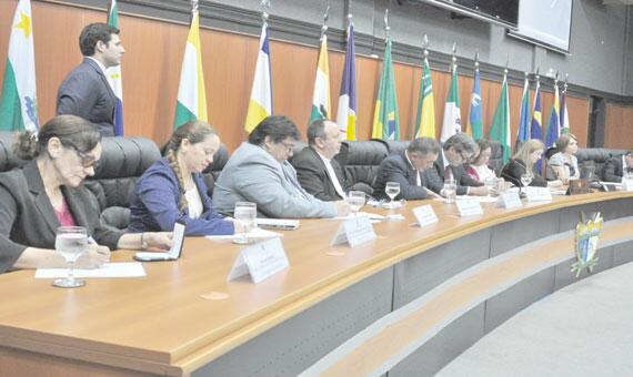 CPI ouviu parlamentares e representantes das entidades roraimenses em defesa da infância e juventude (Foto: Rodrigo Sales)