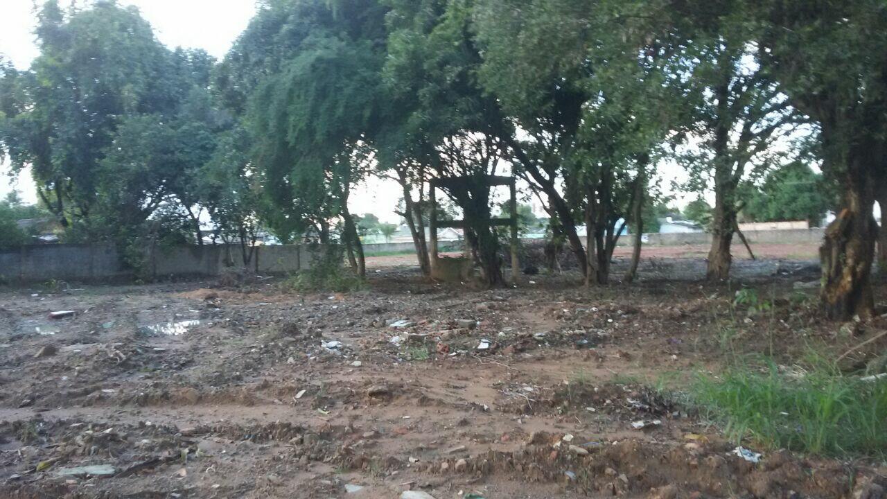 O local onde funcionava a casa do vovô no São Vicente tinha muitas arvores frutíferas