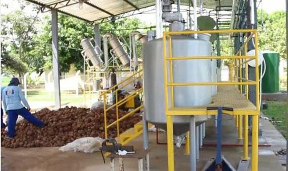 Em Tocantins, Universidade Federal vem apoiando o projeto de produção de etanol com batata doce (Foto: Divulgação)