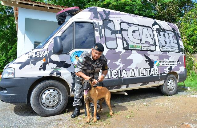 Cães chegaram esta semana e serão treinados para atuar nas ações da Polícia Militar (Foto: Mário Júnior)
