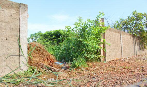 Na rua, pelo menos quatro terrenos estão abandonados, tomados pelo matagal (Foto: Diane Sampaio)