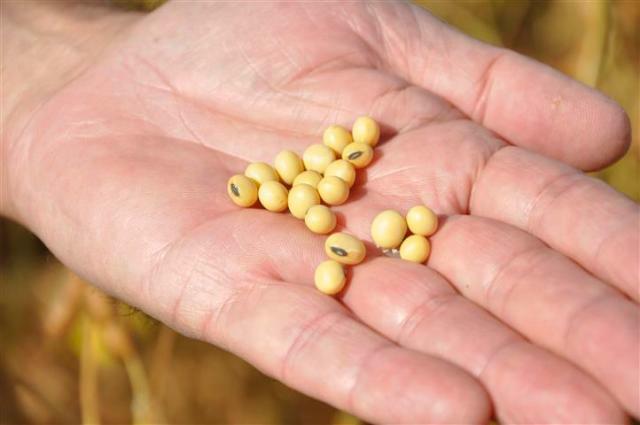 De acordo com o Sebrae, o diferencial é levar a expertise para o campo. (Foto: divulgação)