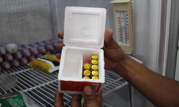 As doses da vacina são comercializadas nas casas agropecuárias. Os preços variam entre R$ 10 e R$ 12 (Foto: Samara Cordeiro)