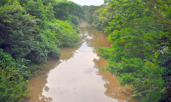Igarapé Caxangá fica às margens do Rio Branco (Foto: Rodrigo Sales)