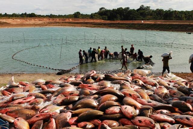 O recurso para a implantação do projeto é proveniente de emenda parlamentar (foto: Divulgação)