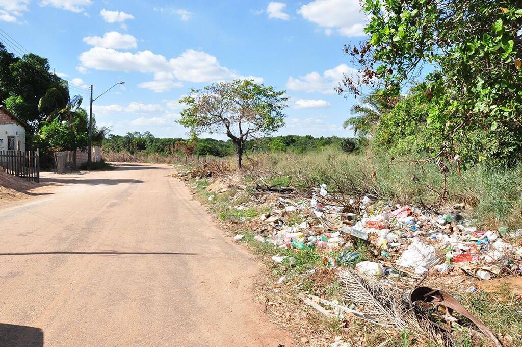 Terrenos baldios precisam ser limpos, pelo menos, três vezes ao ano, segundo a Prefeitura (Foto: Divulgação/PMBV)