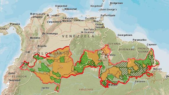Corredor ecológico conectaria as regiões dos Andes, Amazônia e Atlântico (Foto: Divulgação)