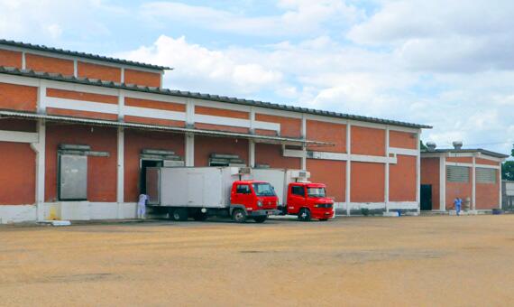 Equipamento que produz a farinha de osso está quebrado no Mafir (Foto: Rodrigo Sales)