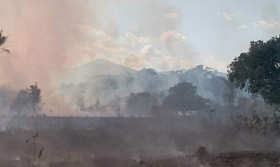 Falta de chuvas acaba contribuindo para aumento de focos de incêndio (Foto: Divulgação)