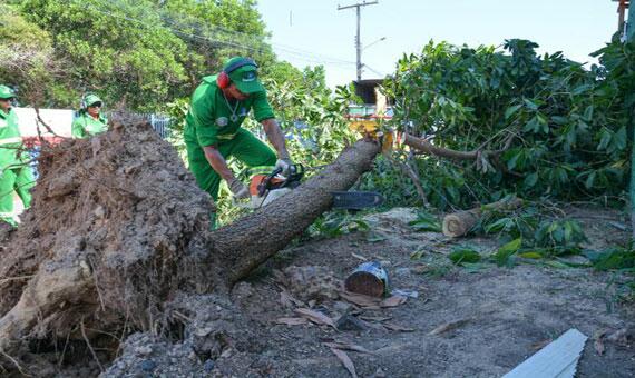 Fim de semana passado foi marcado por forte chuva com ventania na zona Oeste (Foto: Divulgação)