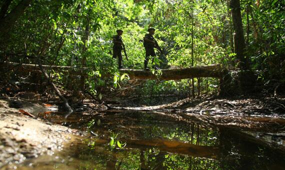 Cerca de mil militares participaram da Operação Ágata 10 (Foto: Divulgação)