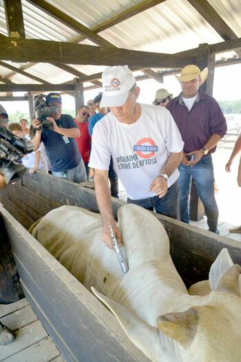 conteudo de folhabv.com.br