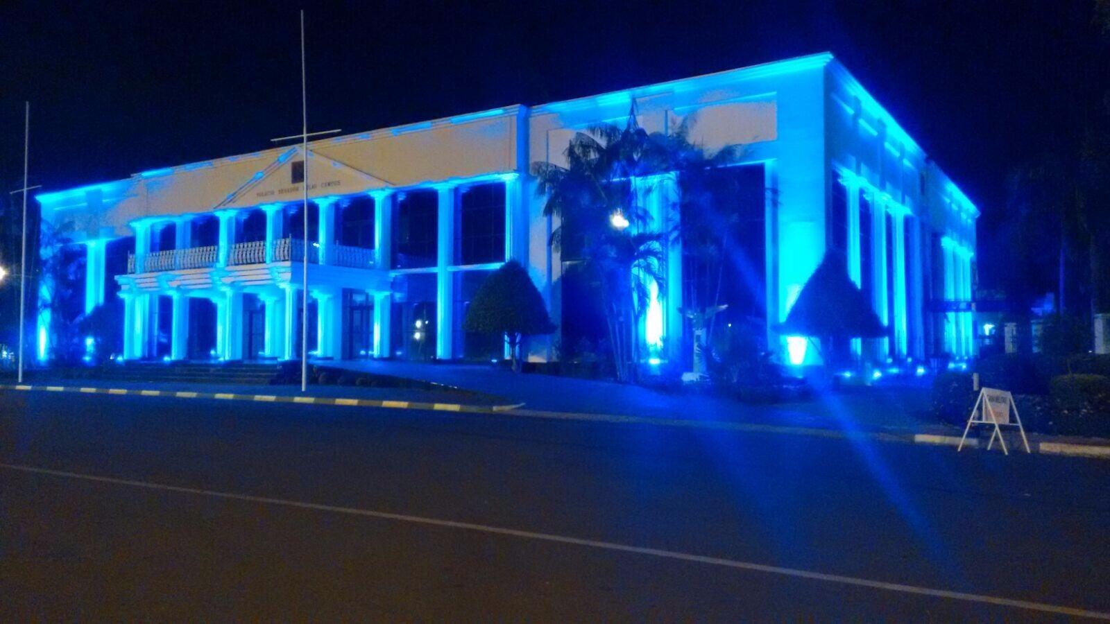 Fachada do Palácio está iluminada na cor tema da campanha (Foto: Divulgação/Secom)