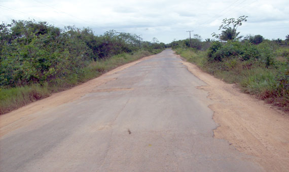 A BR-210, que interliga o Sul do Estado, é uma das estradas em piores condições (Foto: Divulgação)