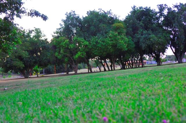 A primeira atividade do evento que comemora a música, será realizada na Praça do Mirandinha, com o Igarapé Musical